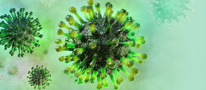 Csm Coronavirus Daae137139